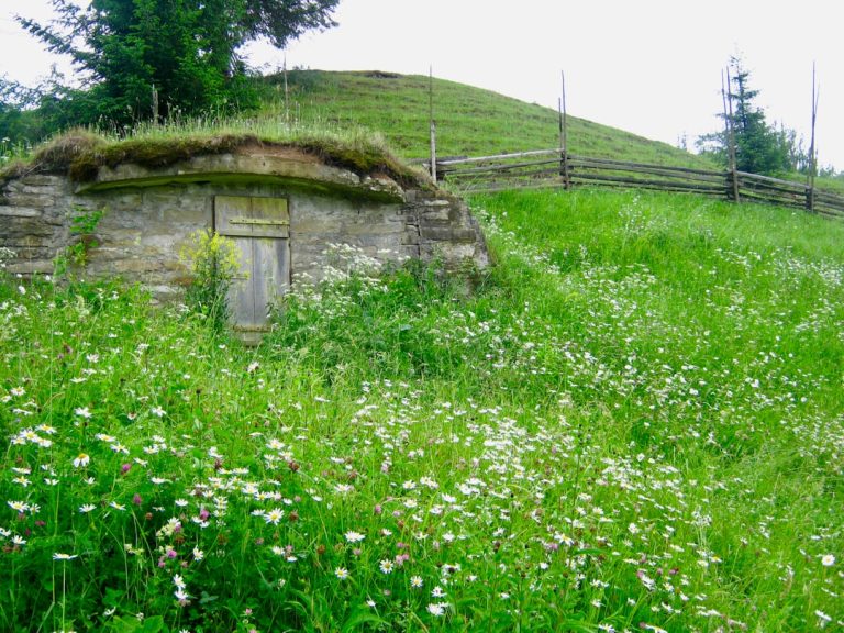„Geschichte erleben: Archäologische Stätten für Familienausflüge in Österreich“