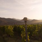 Photo Mountains, Wine
