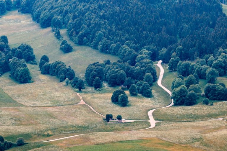 „Mein erstes Mal beim Almabtrieb: Kühe, Kitsch und Kaiserschmarrn“
