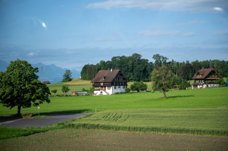 Vom Bauernhof zur Blockchain: KI-Experimente auf meiner Alm