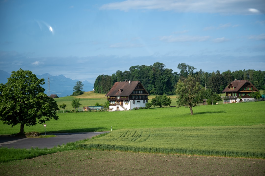 Vom Bauernhof zur Blockchain: KI-Experimente auf meiner Alm