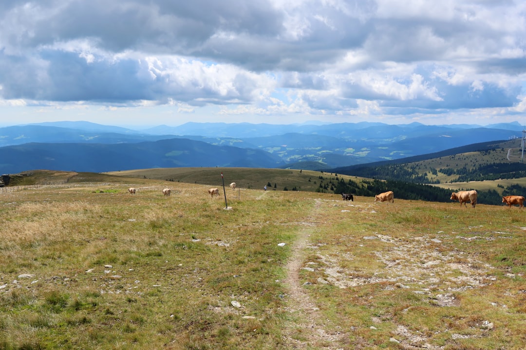 „Vom Wanderweg zur Erkenntnis: Gespräche mit Fremden in der Steiermark, die mein Denken verändert haben“ „Vom Wanderweg zur Erkenntnis: Gespräche mit Fremden in der Steiermark, die mein Denken verändert haben“